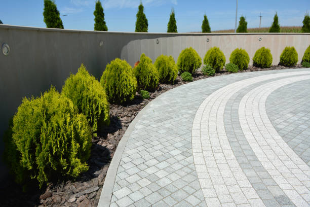 Best Local Driveway Pavers  in Pickerington, OH